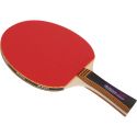 Raquette Ping Pong Buffalo Dominator